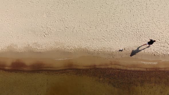 The dog runs after male on the beach