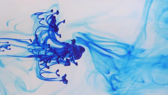 Liquid Abstractions the Dissolution of Blue Paint in Water alt