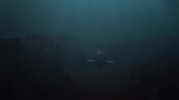 Submarine Being Followed Through an Underwater Canyon