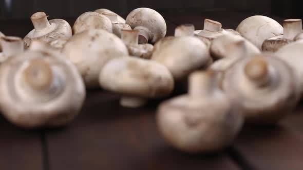 raw porcini champignon mushrooms on a wooden cutting board