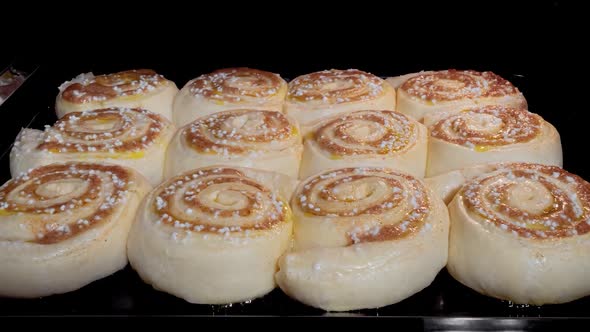 Timelapse  Twelve Cinnamon Buns Baking and Rising in Oven  Zoom in Shot