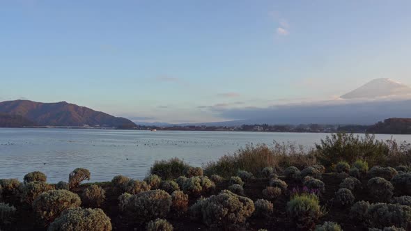 Beautiful nature in Kawaguchiko with Mountain Fuji in Japan alt