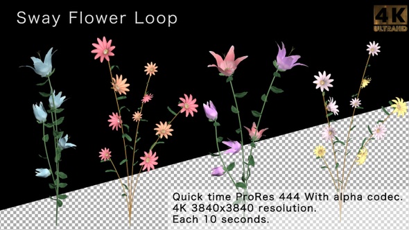 Sway Flower Loop