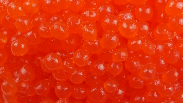 Delicious seafood close up. Red caviar macro. Red caviar tasty and fresh. Expensive delicatessen sal