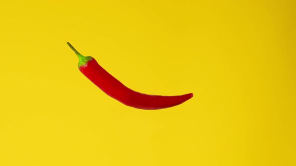 Red Hot Chilli Pepper Isolated Rotating on a Yellow Background