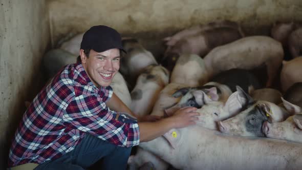 The Farmer Cares and Loves His Piglets alt