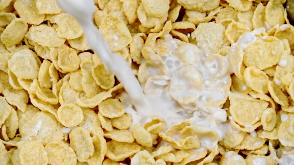 Milk Is Poured To Bowl Corn Flakes Slow Mo, Milk Falling Into Cereal Breakfast