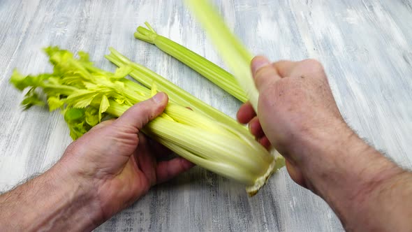 Chef separates celery stalks from bundle before cooking