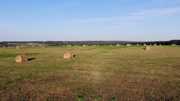 3 Field With Hay Rolls