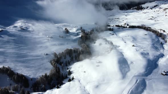 Drone flight over the snow covered pine trees in the high altitude area of the Italian Alps alt