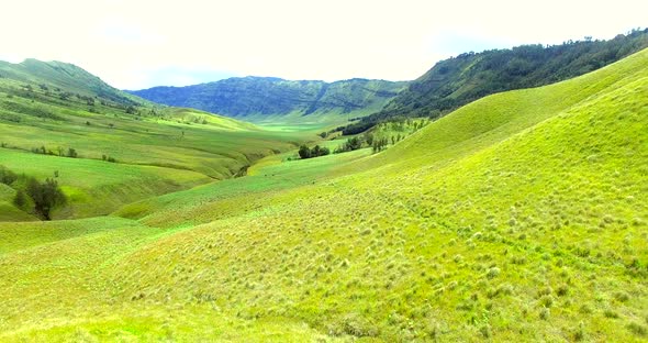 Green grass field on the hill Bromo alt