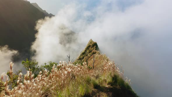 Na Pali Coast State Park. Flying Over the Top of a High Mountain Ridge Surrounded By a Cloud. alt