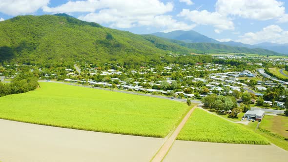 Aerial, Beautiful View On Sugar Cane Plantation In Tablelands In Queensland, Australia