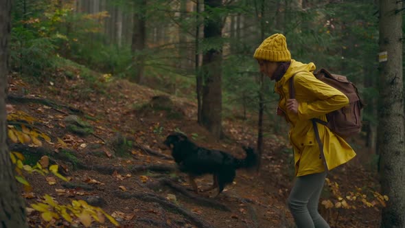 Slow Motion Footage Woman in Yellow Jacket Walks with Dog By Trail in Autumn Forest alt