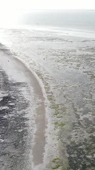 Tanzania  Vertical Video of Low Tide in the Ocean Near the Coast of Zanzibar Slow Motion alt