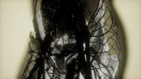 Human Skeleton Bones Scan Glowing alt