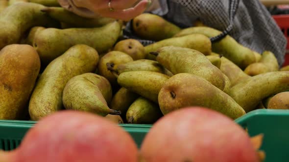 a Woman's Hand Takes From a Pile of Pears Conference in the Market alt