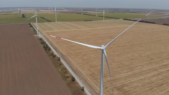 Ecofriendly Wind Driven Generators Stand Among Wide Fields