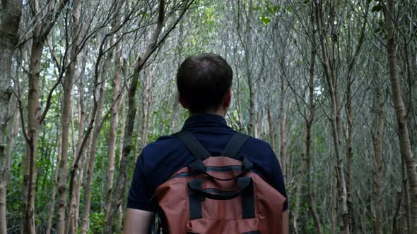 Modern Backpacker with Rucksack Walking Among Trees in Woods Travel Concept alt