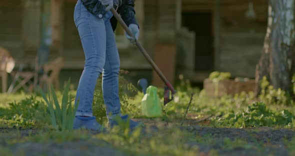 Gardener Works in the Garden Spuds Plants alt