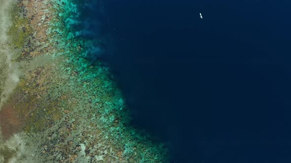 Aerial: flying top down over tropical Ai island coral reef sand beach Indonesia alt