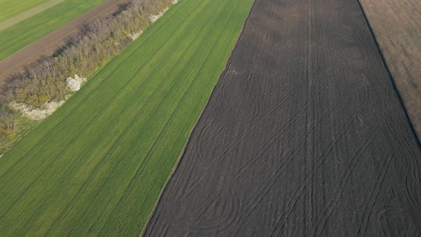 Aerial View of Beautiful Summer Landscape of a Wheat Field alt