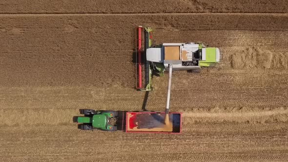 Combine Harvester in Action alt