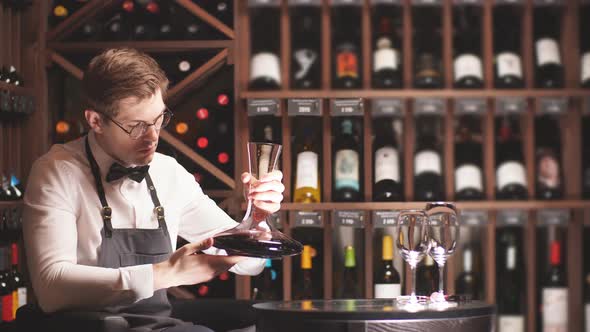 Expert Decanting and Pouring Wine Into Glass. Staff Training for Sommelier alt