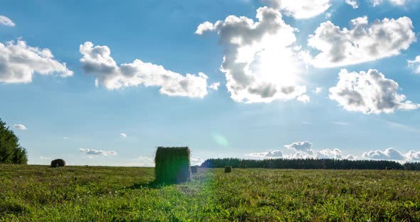 Summer Wheat Field After Harvest at Sunset, Agriculture Timelapse, Hyperlapse Scene alt