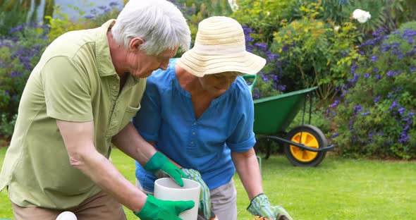 Senior couple gardening together in backyard alt