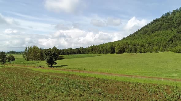 Michoacan cloudy landscape alt