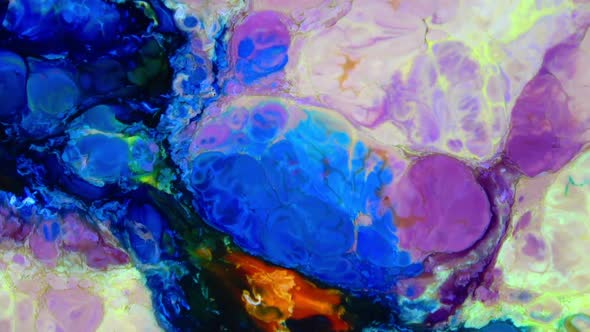 Abstract Organic Hypnotic Ink Colorful Paint Spreads 46