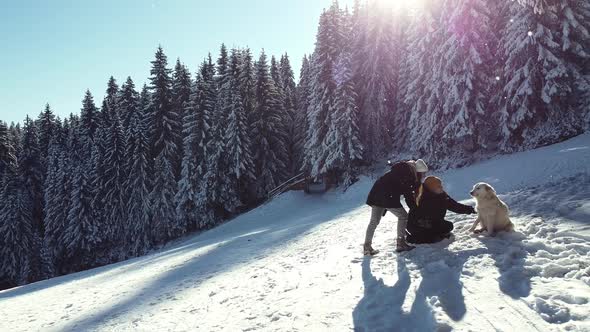 Women Playing with Cute Dog at Mountain on a Sunny Winter Day with Snowy Pine Trees,Outdoors, Nature alt