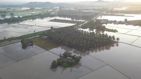 Aerial tracking oil palm plantation alt