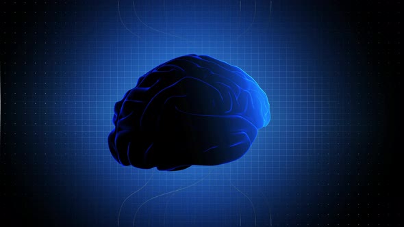 Brain Rotating In Dataflow. Looped Abstract Animation Loop alt