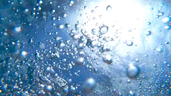 Air Bubbles Floating Up to the Water Surface alt