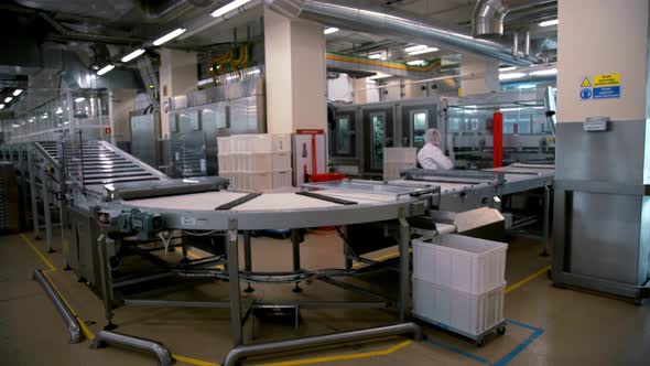 Candy Factory, Production Line of Chocolates