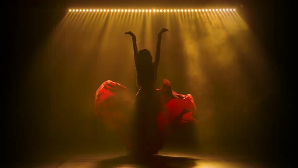 Silhouettes of a Woman in Exotic Costume Performs a Belly Dance Moves Semi Nude Body. Shot in a Dark alt