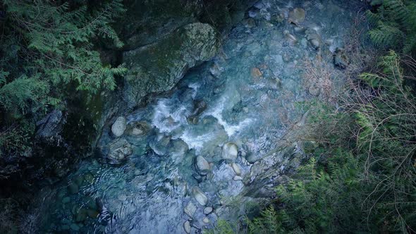 Birdseye View Of Forest River alt