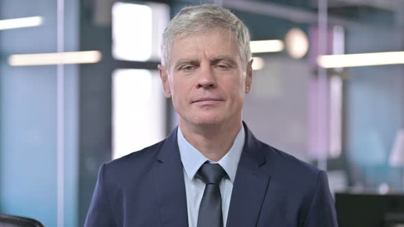 Portrait of Middle Aged Businessman Looking at Camera alt