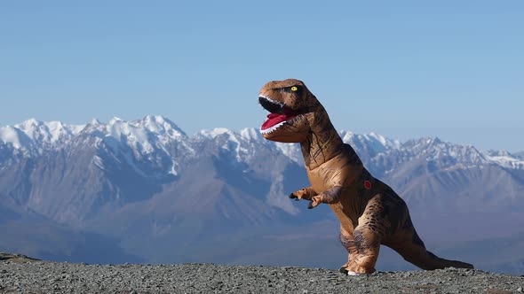 Big Dinosaur Doll Tyrannosaurus Rex with Person Inside Is Dancing in Mountains.