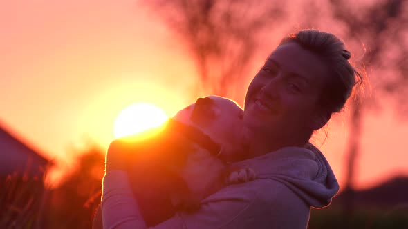 bulldog puppy is loved in the sunset by his dog mom 4k alt