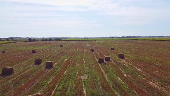 Aero Drone Flight Over Wheat Field with Rick Straw Bales