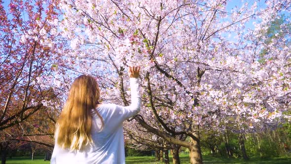 Girl walking in Japanese Garden with blooming trees. Young woman with long hair enjoys spring alt