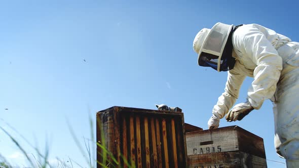 Beekeeper working on beehive alt