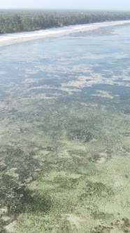 Tanzania  Vertical Video of Low Tide in the Ocean Near the Coast of Zanzibar Slow Motion alt
