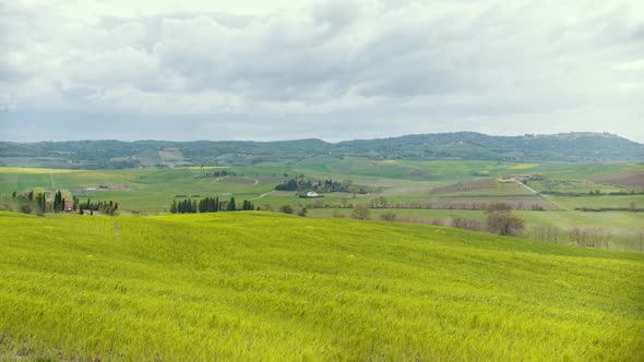 A Bright Green Field in Toskana alt