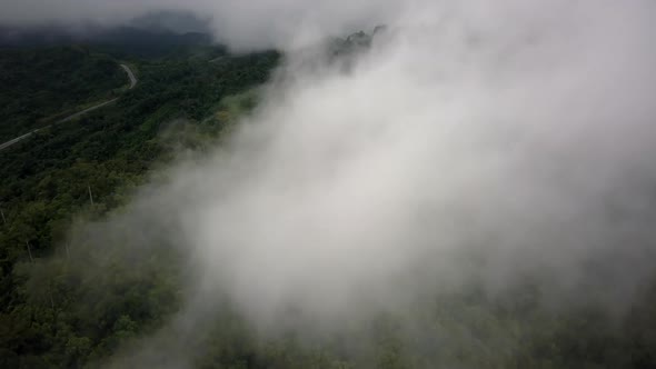 Aerial view flying above lush green tropical rain forest mountain with rain cloud cover during the r alt