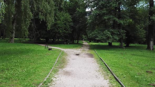 Nature Park Aerial Shot V1 alt