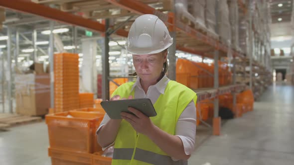 Working day at wholesale or retail warehouse, woman keeps track of goods walking near shelves alt